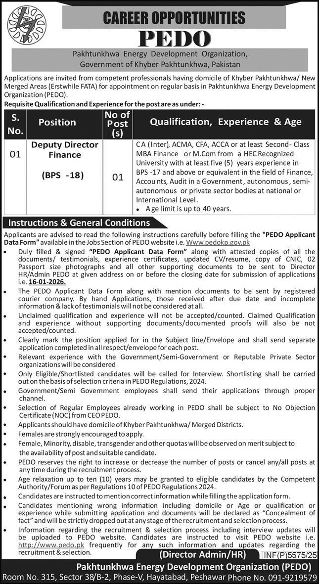 Pakhtunkhwa Energy Development Organization (PEDO)